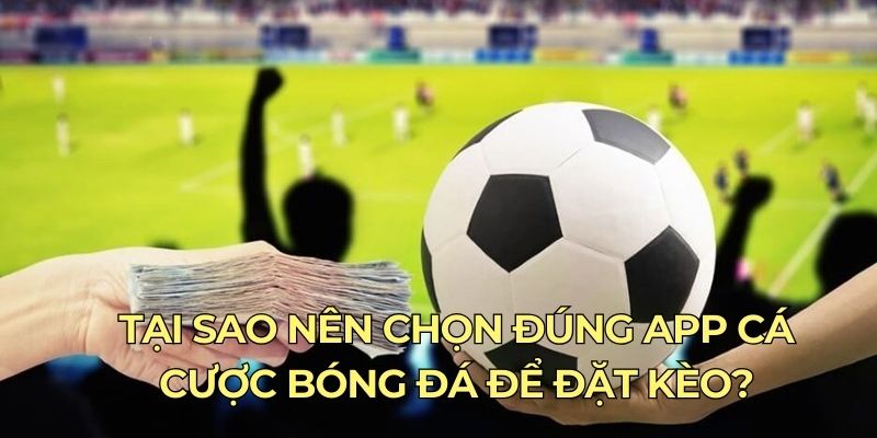 Tại sao nên chọn đúng app cá cược bóng đá để đặt kèo?